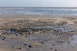 Insel Sylt Februar 2025 Ein weites Strandbild, das den Strand bei Ebbe zeigt Insel Sylt Februar 2025 Weitläufiger Sandstrand mit Felsen und ruhigem Meer bei Ebbe