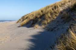 Insel Sylt Februar 2025 Ein ruhiger Strand mit sanften Sanddünen und Meerblick Insel Sylt Februar 2025 Sonnige Sanddünen am Strand mit Meer im Hintergrund
