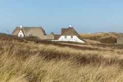 Insel Sylt Februar 2025 Ein traditionelles Reetdachhaus umgeben von Dünenlandschaft Insel Sylt Februar 2025 Reetgedecktes Haus inmitten von Dünen und Wiesen an der Nordseeküste