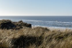 Insel Sylt Februar 2025 Blick über die Dünen auf die weite Nordsee Insel Sylt Februar 2025 Gräser und Dünen am Nordseestrand unter klarem Himmel