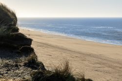 Insel Sylt Februar 2025 Ein ruhiger Sandstrand umgeben von Dünen, perfekt für einen entspannenden Spaziergang. Insel Sylt Februar 2025 Weitläufiger Sandstrand mit sanften Wellen und grasbewachsenen Dünen bei Sonnenuntergang