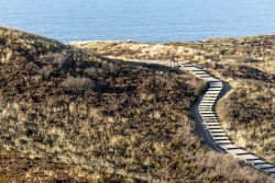 Insel Sylt Februar 2025 Ein gewundener Holzweg führt durch die malerische Dünenlandschaft. Insel Sylt Februar 2025 Holzweg durch die Dünenlandschaft am Meer
