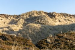 Insel Sylt Februar 2025 Grasbewachsene Sanddünen in harmonischer Landschaft Insel Sylt Februar 2025 Sanddünen mit Grasbewuchs unter blauem Himmel