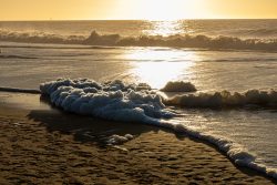 Insel Sylt Februar 2025 Ein ruhiger Abend am Strand, während die Sonne den Horizont trifft Insel Sylt Februar 2025 Sonnenuntergang am Strand mit schäumenden Wellen und goldenem Licht