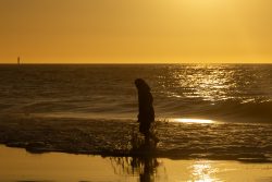 Insel Sylt Februar 2025 Eine Person genießt einen Spaziergang am Strand während des Sonnenuntergangs Insel Sylt Februar 2025 Person in Silhouette läuft entlang Strand bei Sonnenuntergang
