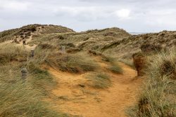 Insel Sylt und Hallig Hooge Oktober 2025 Ein Pfad windet sich durch grasbewachsene Sanddünen an einem bewölkten Tag Insel Sylt und Hallig Hooge Oktober 2025 Sanddünen mit Grasbewuchs unter bewölktem Himmel