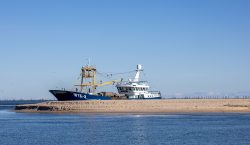 Insel Sylt und Hallig Hooge Oktober 2025 Ein Fischkutter mit der Kennzeichnung WYK-3 sitzt auf einer Sandbank im Meer. Insel Sylt und Hallig Hooge Oktober 2025 Fischkutter auf Sandbank im Meer bei klarem Himmel