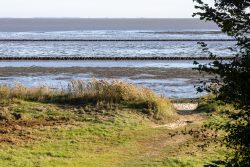 Insel Sylt und Hallig Hooge Oktober 2025 Ein Blick auf die Nordsee mit Wellenbrechern und üppiger Vegetation am Ufer. Insel Sylt und Hallig Hooge Oktober 2025 Nordsee mit Wellenbrecher und grasbewachsener Küste im Vordergrund
