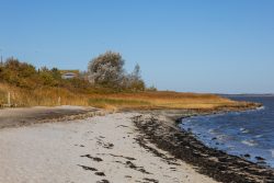 Insel Sylt und Hallig Hooge Oktober 2025 Blick auf die sandige Küste und die Dünen unter klarem Himmel Insel Sylt und Hallig Hooge Oktober 2025 Küstendünen und Strand mit blauem Himmel an einem sonnigen Tag