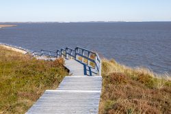 Insel Sylt und Hallig Hooge Oktober 2025 Ein Holzweg führt durch die Dünen zur Nordseeküste auf der Insel Sylt in Deutschland Insel Sylt und Hallig Hooge Oktober 2025 Holzweg zur Nordseeküste auf Sylt mit Dünen und Meerblick