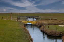 Insel Sylt und Hallig Hooge Oktober 2025 Eine kleine steinerne Brücke spannt sich über einen schmalen Bach in einer weiten, offenen Wiese Insel Sylt und Hallig Hooge Oktober 2025 Landschaft mit kleinem steinernen Brücke über einem Bach und weitem Horizont