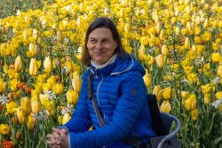 Keukenhof Niederlande April 2025 Eine Frau genießt die Aussicht auf ein lebhaftes Tulpenfeld Keukenhof Niederlande April 2025 Frau in blauer Jacke sitzt vor einem Feld aus gelben Tulpen