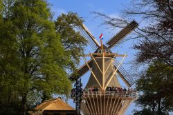 Keukenhof Niederlande April 2025 Eine klassische niederländische Windmühle, im Frühling von Bäumen umgeben Keukenhof Niederlande April 2025 Traditionelle holländische Windmühle mit Flagge unter blauem Himmel