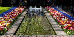 Keukenhof Niederlande April 2025 Ein malerischer Brunnen, umgeben von lebendigen Tulpen im Park Keukenhof Niederlande April 2025 Blumenbeete mit bunten Tulpen entlang eines reflektierenden Brunnens im Park