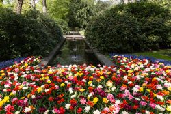 Keukenhof Niederlande April 2025 Lebendige Blumenblüte im Park während des Frühlings Keukenhof Niederlande April 2025 Bunte Frühlingsblumen vor einem ruhigen Teich in einem grünen Park