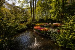 Keukenhof Niederlande April 2025 Ein herrlicher Frühlingsgarten mit farbenfrohen Blumen und einem kleinen Teich Keukenhof Niederlande April 2025 Blumenbeete und Teich im sonnigen Frühlingsgarten