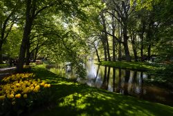 Keukenhof Niederlande April 2025 Ein idyllischer Park mit blühenden Tulpen und einem ruhigen Teich. Keukenhof Niederlande April 2025 Sonniger Park mit Teich und blühenden gelben Tulpen im Frühling