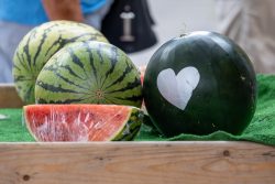 Lüneburg August 2024 Wassermelonen mit Herzaufkleber auf grünem Teppich