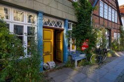 Lüneburg August 2024 Fahrrad vor charmantem Fachwerkhaus mit gelber Tür und Pflanzen im Sonnenschein