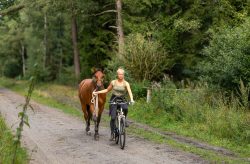Lüneburger Heide August 2024 Frau führt Pferd beim Radfahren im Wald