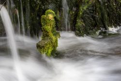 Lüneburg August 2024 Verwischter Wasserstrom im Wald, moosbedeckter Stein im Vordergrund