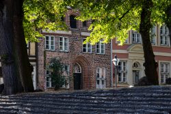 Lüneburg August 2024 Historische Fachwerkhäuser und Bäume in einem sonnigen Innenhof