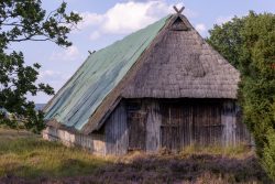 Lüneburger Heide August 2024 Altes reetgedecktes Scheunengebäude in ländlicher Umgebung mit Bäumen