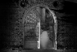 Lüneburger Heide August 2024 Gotisches Tor in Ziegelmauer mit Blick auf gepflasterten Weg