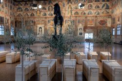 Padua Entschleunigte Fotografie Oktober 2024 Kunstinstallation mit Olivenbäumen und Wandgemälden in historischem Saal