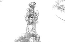 Taunus Schwarz Weiss Fotografie Mai 2025 Historischer Stahl-Aussichtsturm im Waldgebiet