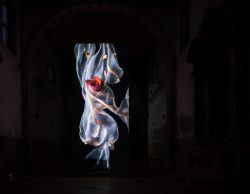 Venedig Entschleunigte Fotografie Oktober 2024 Kunstinstallation mit leuchtendem Stoff und roter Rose in dunkler Umgebung