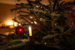 Weihnachtskrippe Villeroy und Boch - Weihnachtsdekoration Nahaufnahme eines Weihnachtsbaums mit roter Kugel und Kerze