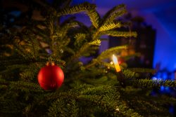 Weihnachtskrippe Villeroy und Boch - Weihnachtsdekoration Nahaufnahme eines geschmückten Weihnachtsbaums mit roter Kugel und Kerze