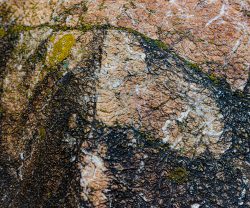 Abstrakte (Natur-) Fotografie Fürstenfeldbruck Naturfototage Nahaufnahme von bemostem, rissigem Felsen mit Texturmuster