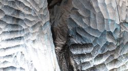 Abstrakte (Natur-) Fotografie Fürstenfeldbruck Naturfototage Nahaufnahme von abstrakten Holzschnitzereien mit blauen und grauen Tönen