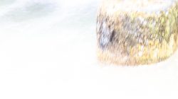 Abstrakte (Natur-) Fotografie Fürstenfeldbruck Naturfototage Abstraktes Bild einer vertikalen Steinsäule im fließenden Wasser