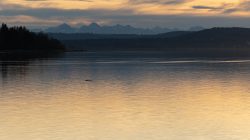 Ammersee Januar 2023 Fotografie Aloys Peter Trenz Ein ruhiger Abend am See mit Blick auf die Alpen im Hintergrund. Ammersee Januar 2023 Fotografie Aloys Peter Trenz Sonnenuntergang am See mit Alpen im Hintergrund