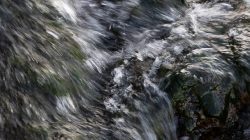 Ammersee Januar 2023 Fotografie Aloys Peter Trenz Wasser strömt dynamisch über Felsen in einem natürlichen Bachlauf Ammersee Januar 2023 Fotografie Aloys Peter Trenz Nahaufnahme von fließendem Wasser über Felsen im Bach