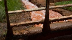 Bad Vilbel Herbst 2022 Fotoserie Aloys Peter Trenz Rostiges Geländer über rot gefärbten Bach im Freien