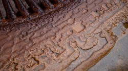 Bad Vilbel Herbst 2022 Fotoserie Aloys Peter Trenz Rost und Erosion auf Metallstruktur mit Wasser