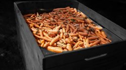 Bad Vilbel Herbst 2022 Fotoserie Aloys Peter Trenz Große Holzkiste gefüllt mit frischen Karotten im Freien