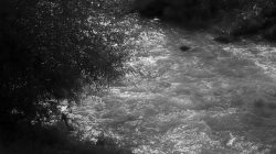 Bad Vilbel Herbst 2022 Fotoserie Aloys Peter Trenz Schwarzweißaufnahme eines fließenden Gebirgsbaches mit Bäumen