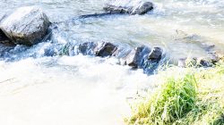 Bad Vilbel Herbst 2022 Fotoserie Aloys Peter Trenz Fließender Bach mit Steinen und Gras im Sonnenlicht