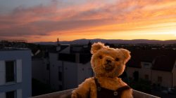 Fotografie Experimente mit Licht und Bewegung August 2022 Plüschbär auf Balkon bei Sonnenuntergang mit Stadtblick