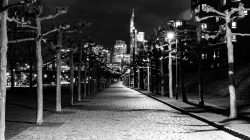 Frankfurt Altstadt und Ostend - Schwarz Weiss Fotografie Ein abendlicher Spaziergang mit Blick auf die Skyline von Frankfurt Frankfurt Altstadt und Ostend - Schwarz Weiss Fotografie Nachtszene des beleuchteten Weges und Skyline in Frankfurt