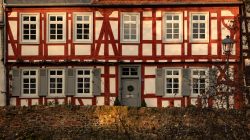 Frankfurt Höchst und Schwanheimer Düne Fachwerkhaus mit Holzverkleidung und grüne Tür in der Abendsonne