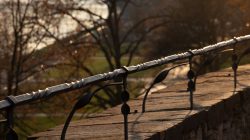 Frankfurt Höchst und Schwanheimer Düne Sonnendurchflutetes Geländer auf Steinmauer in Herbstlandschaft