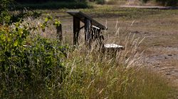 Schwanheimer Düne Frankfurt Sommer 2022 Sonnenbeschienener, verlassener Tisch in einer wilden Wiese