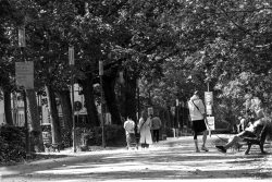 Gallus Viertel Frankfurt Street- und Architekturfotohrafie Menschen genießen einen sonnigen Tag in einem bewaldeten Park, während sie spazieren gehen Gallus Viertel Frankfurt Street- und Architekturfotohrafie Schwarzweißaufnahme eines belebten Parks mit Spaziergängern und Bäumen
