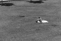 Gallus Viertel Frankfurt Street- und Architekturfotohrafie Eine Person entspannt sich im Park und nutzt ihr Smartphone Gallus Viertel Frankfurt Street- und Architekturfotohrafie Person auf Decke alleine im Park mit Smartphone